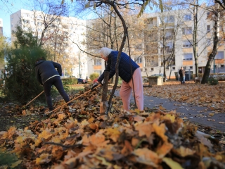 Levélszedés a város közterein - fotó: 