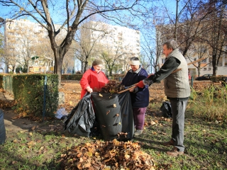 Levélszedés a város közterein - fotó: 