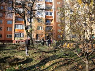 Levélszedés a város közterein - fotó: 