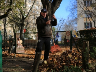 Levélszedés a város közterein - fotó: 