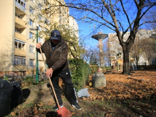 Levélszedés a város közterein - fotó: 