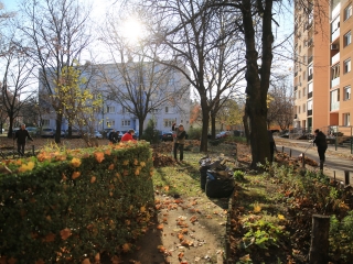 Levélszedés a város közterein - fotó: 