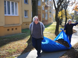 Levélszedés a város közterein - fotó: 