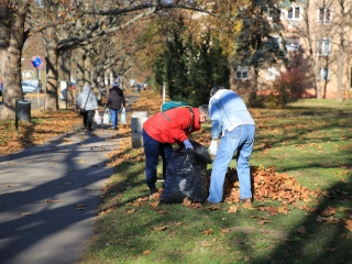 Levélszedés a város közterein - fotó: 