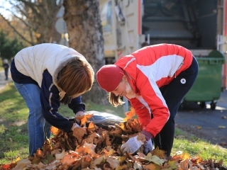 Levélszedés a város közterein - fotó: 