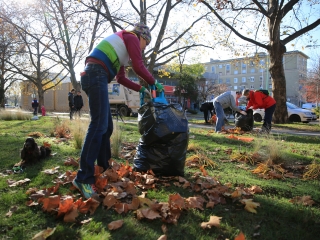Levélszedés a város közterein - fotó: 