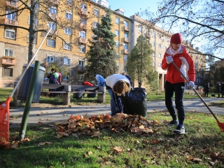 Levélszedés a város közterein - fotó: 
