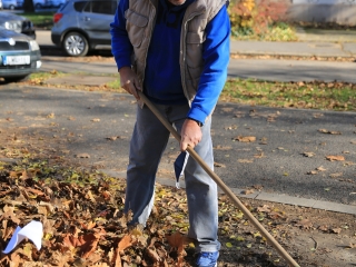 Levélszedés a város közterein - fotó: 