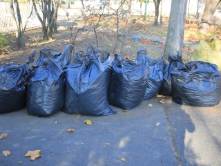 Levélszedés a város közterein - fotó: 