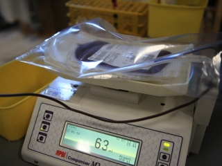 Mikulás véradás az MMK-ban - fotó: 