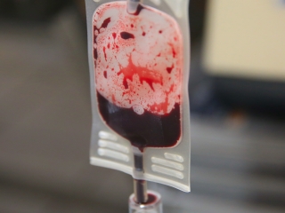 Mikulás véradás az MMK-ban - fotó: 