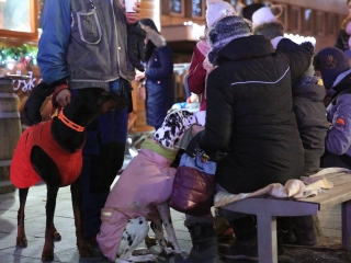 Ünnepi gyertyagyújtás advent harmadik vasárnapján - fotó: 