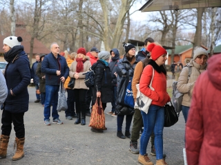 Dunai Kincses Kert - a decemberi kavalkád képei - fotó: 