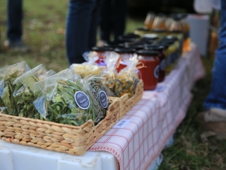 Dunai Kincses Kert - a decemberi kavalkád képei - fotó: 