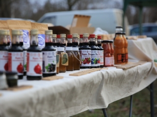 Dunai Kincses Kert - a decemberi kavalkád képei - fotó: 