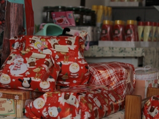 Adományátadó a Családok Átmeneti Otthonában - fotó: 