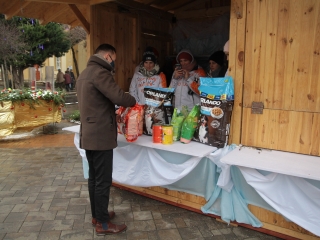 Petárda helyett kutyatápot - fotó: 