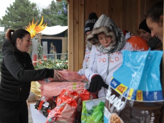 Petárda helyett kutyatápot - fotó: 