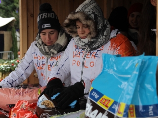 Petárda helyett kutyatápot - fotó: 