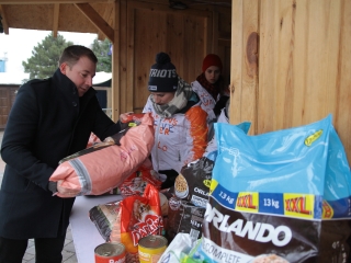 Petárda helyett kutyatápot - fotó: 