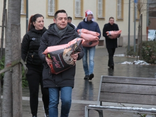 Petárda helyett kutyatápot - fotó: 