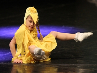 Gárdonyi Gála - fotó: Sándor Judit