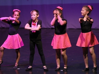 Gárdonyi Gála - fotó: Sándor Judit