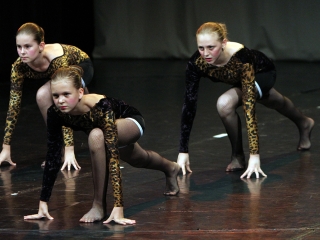 Gárdonyi Gála - fotó: Sándor Judit