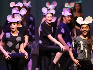 Gárdonyi Gála - fotó: Sándor Judit