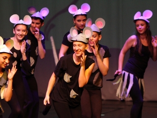 Gárdonyi Gála - fotó: Sándor Judit