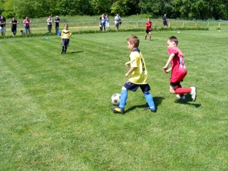 Bozsik Program szezonzáró U7-U9 - fotó: 