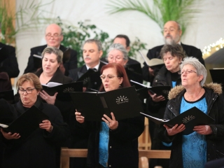 "Pro Cultura Intercisae" díj átadás (2022) - fotó: 