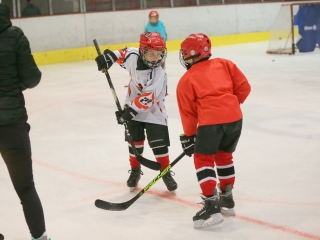 Jégpályák Éjszakája - fotó: 