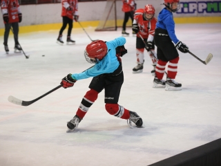 Jégpályák Éjszakája - fotó: 