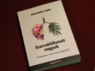 Jótékony célú árverés az MMK-ban - fotó: 