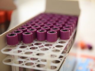 Szeretetteljes véradás az MMK-ban - fotó: 