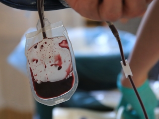 Szeretetteljes véradás az MMK-ban - fotó: 