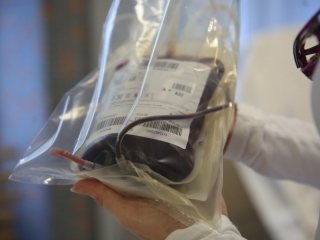 Szeretetteljes véradás az MMK-ban - fotó: 