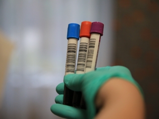 Szeretetteljes véradás az MMK-ban - fotó: 