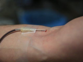 Szeretetteljes véradás az MMK-ban - fotó: 