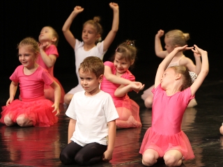 Wesley-Da Capo - gála a Bartókban - fotó: Sándor Judit