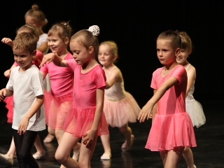Wesley-Da Capo - gála a Bartókban - fotó: Sándor Judit