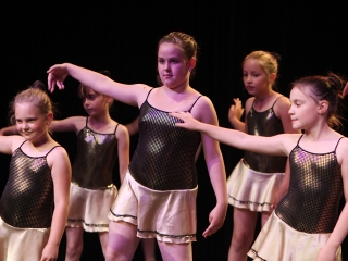 Wesley-Da Capo - gála a Bartókban - fotó: Sándor Judit