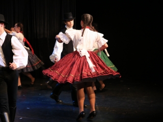 A Violin jubileumi évének nyitóeseménye - fotó: 