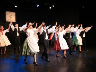 A Violin jubileumi évének nyitóeseménye - fotó: 