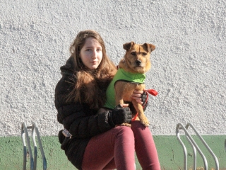 Tavaszváró Csomagtartóvásár - fotó: 