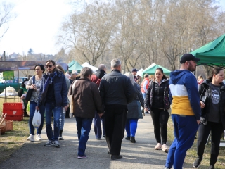 Dunai Kincses kert – a márciusi kínálat - fotó: 