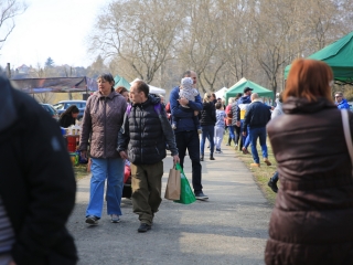 Dunai Kincses kert – a márciusi kínálat - fotó: 