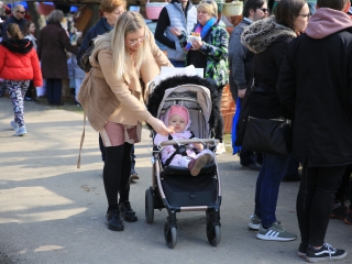 Dunai Kincses kert – a márciusi kínálat - fotó: 