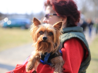 Dunai Kincses kert – a márciusi kínálat - fotó: 